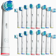 Oral B Braun Replacement Toothbrush Heads Extra Soft Dupont Bristles Rounded End For Gentle Cleaning Whitening