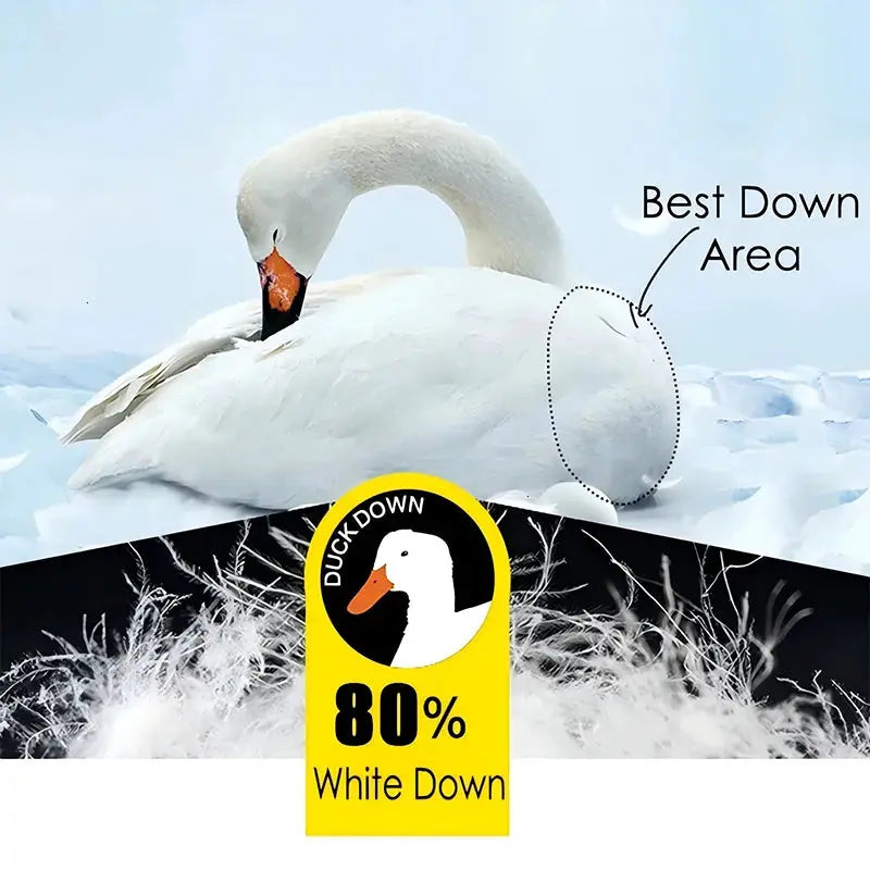 Men's winter white duck-down jacket with hood and 80% white down label