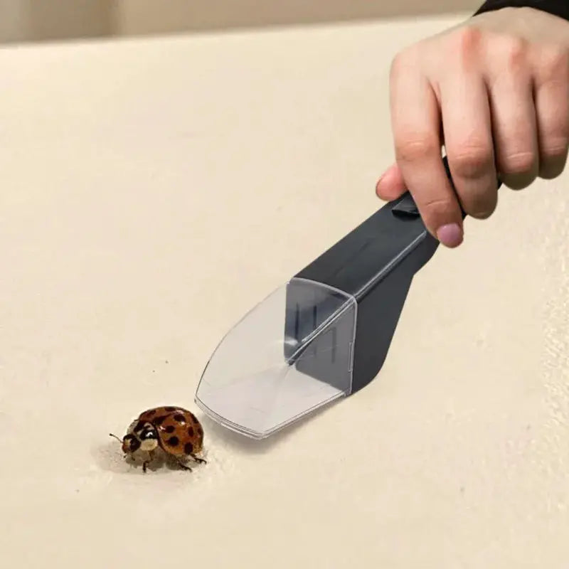 Handheld insect catcher with a gray body and clear plastic scoop catching a ladybug on a light surface