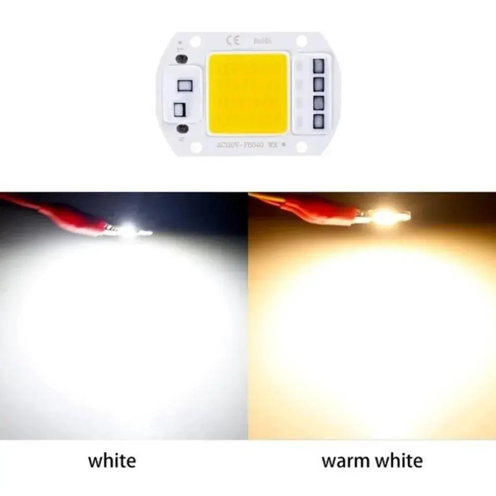 F6040 COB LED Module 20W 30W 50W AC 220V Outdoor Spotlight Garden Lighting Bead Lamp