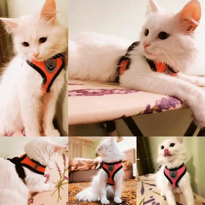 Adjustable Polyester Mesh Cat Harness Vest And Leash Set For Small To Medium Dogs And Cats With Reflective Piping