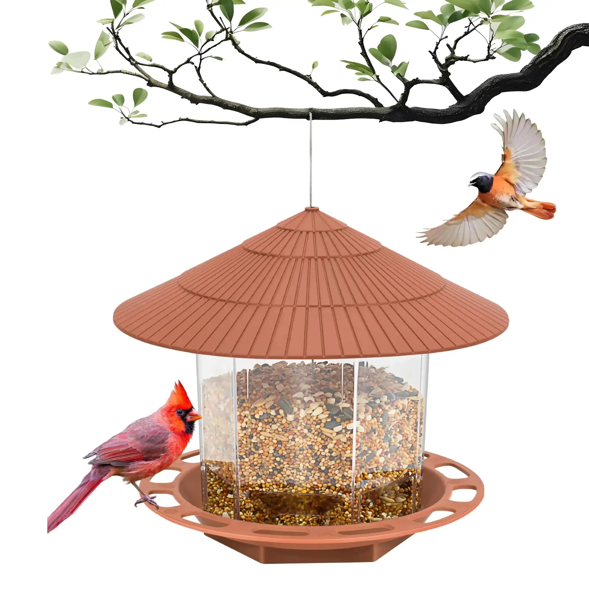 Automatic bird feeder with clear seed reservoir and terracotta roof, hanging from a branch with a cardinal nearby.