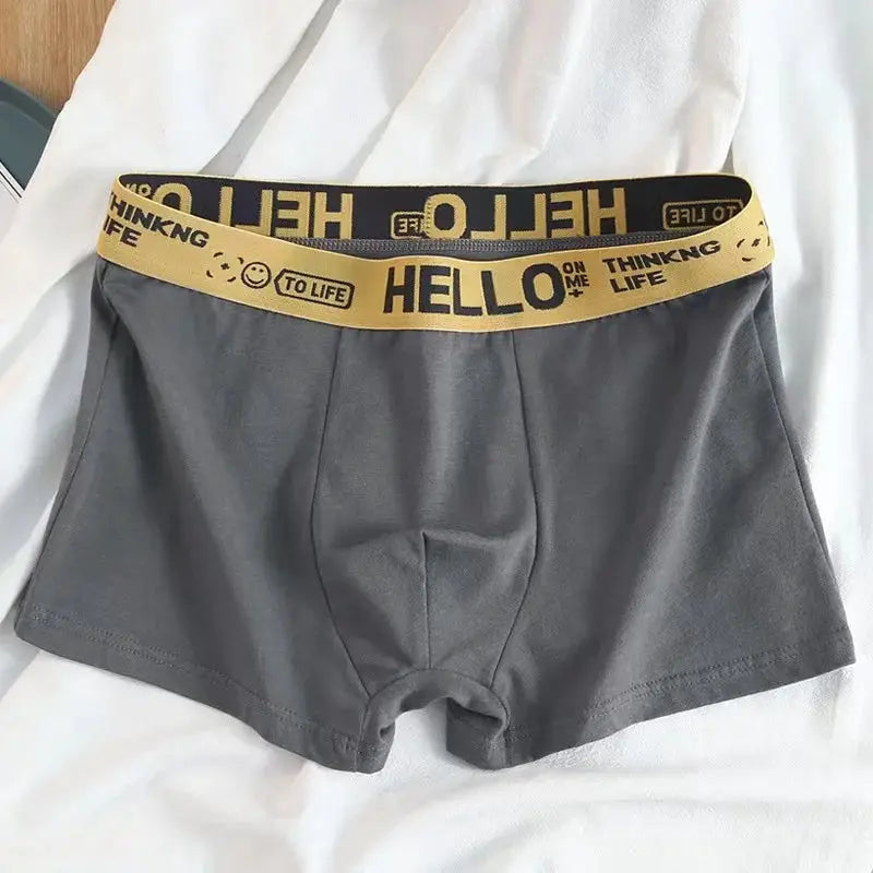 Gray men's boxer shorts with a gold elastic waistband featuring Hello text