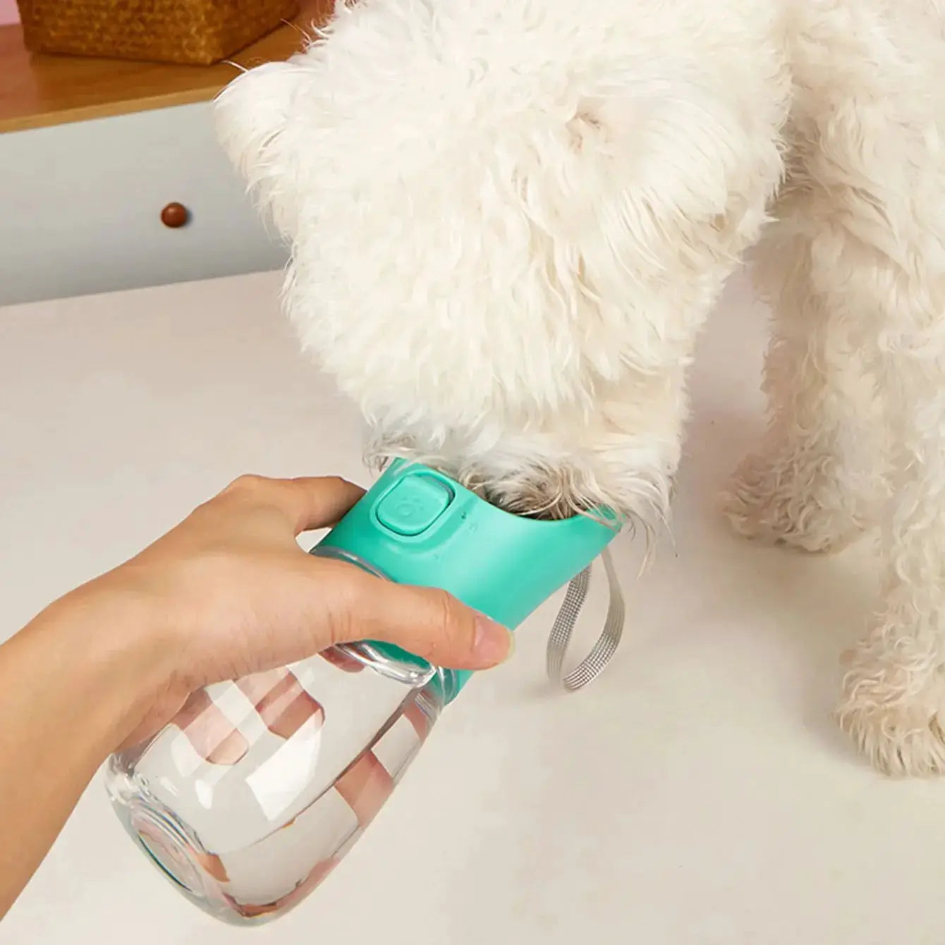 Portable Dog Water Bottle With Leakproof Drinking Bowl For Outdoor Hiking And All Dog Sizes
