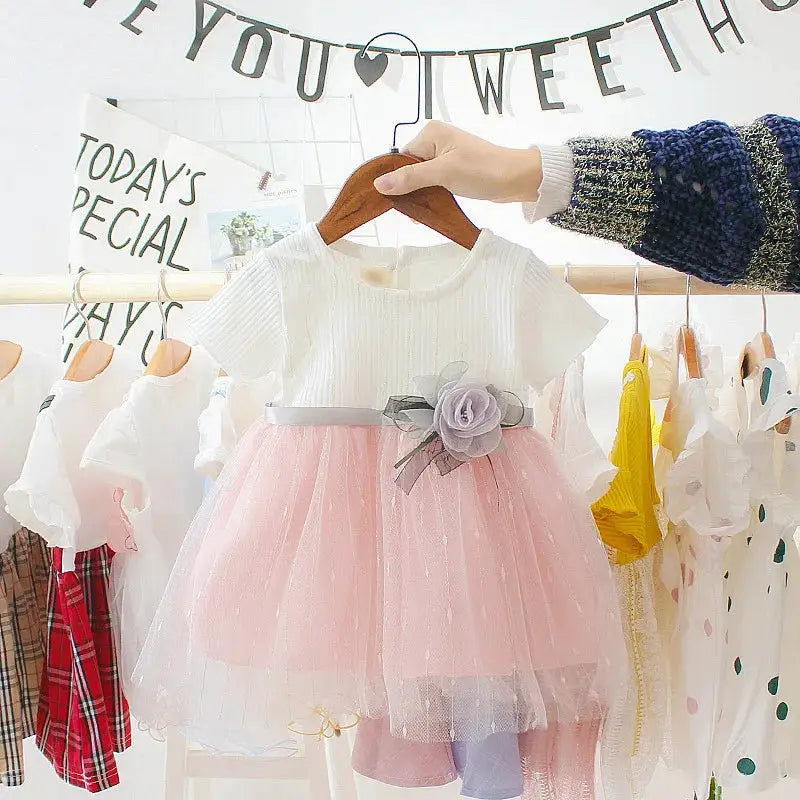 Summer Baby Girls Dress Princess Style Flower Ribbon Gauze Mesh Shaggy Dress for Birthday Parties