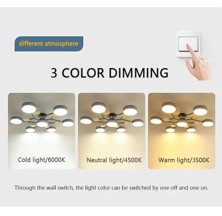 Modern LED chandelier ceiling pendant lamp with 3 color temperatures (6000K/4500K/3500K)