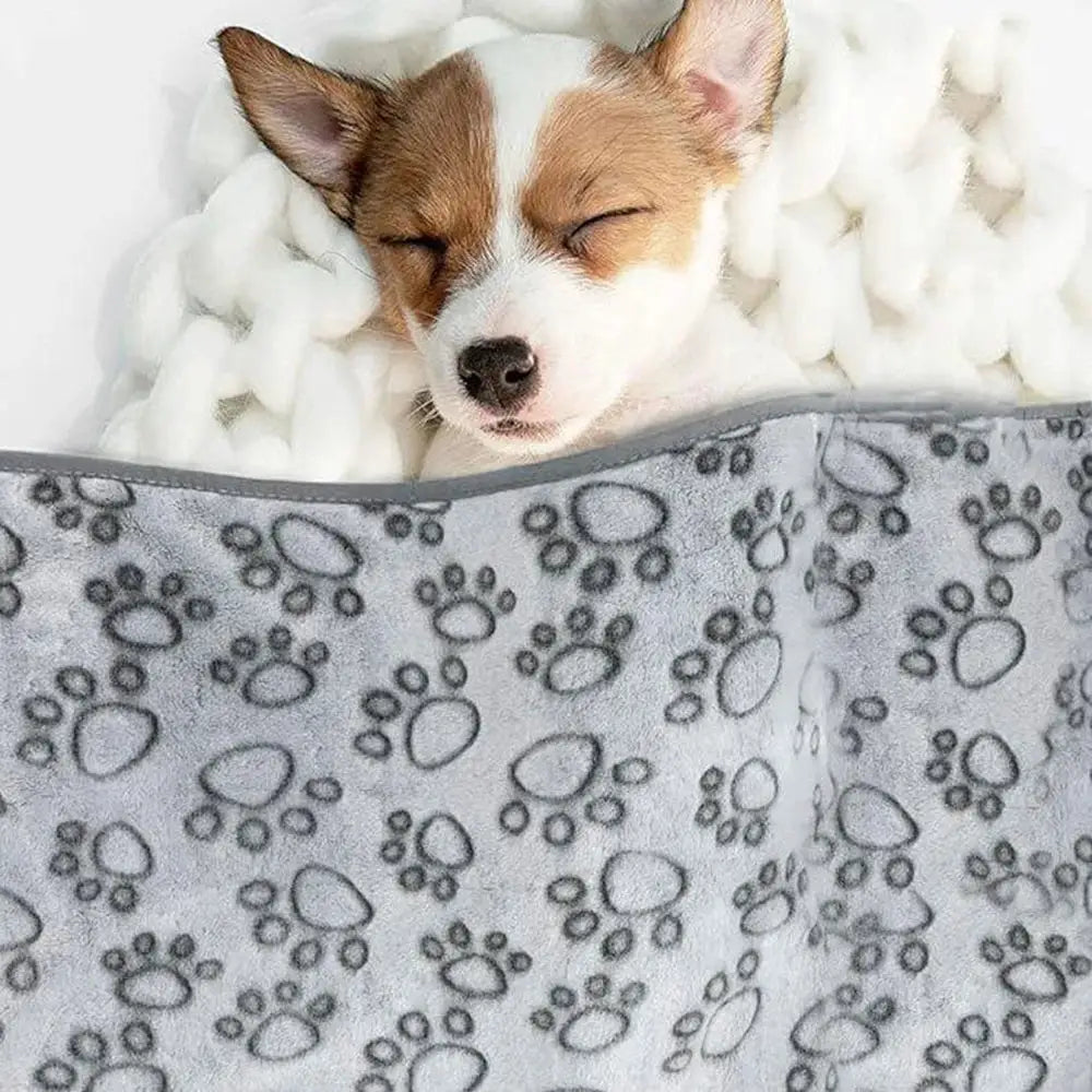 Winter Soft Dog Blanket Washable For Cats And Dogs Indoor Pets Grey Large Medium Small Bed Mat