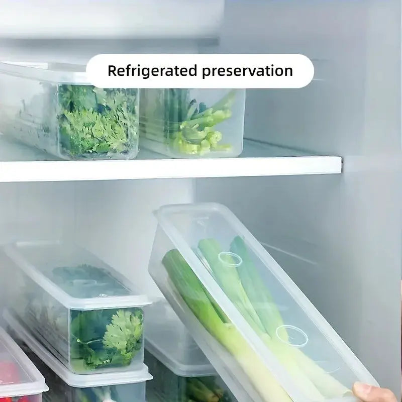 EverFresh 4 Pack Long Rectangular Food Storage Containers Durable Plastic Reusable Refrigerator Organizer Boxes