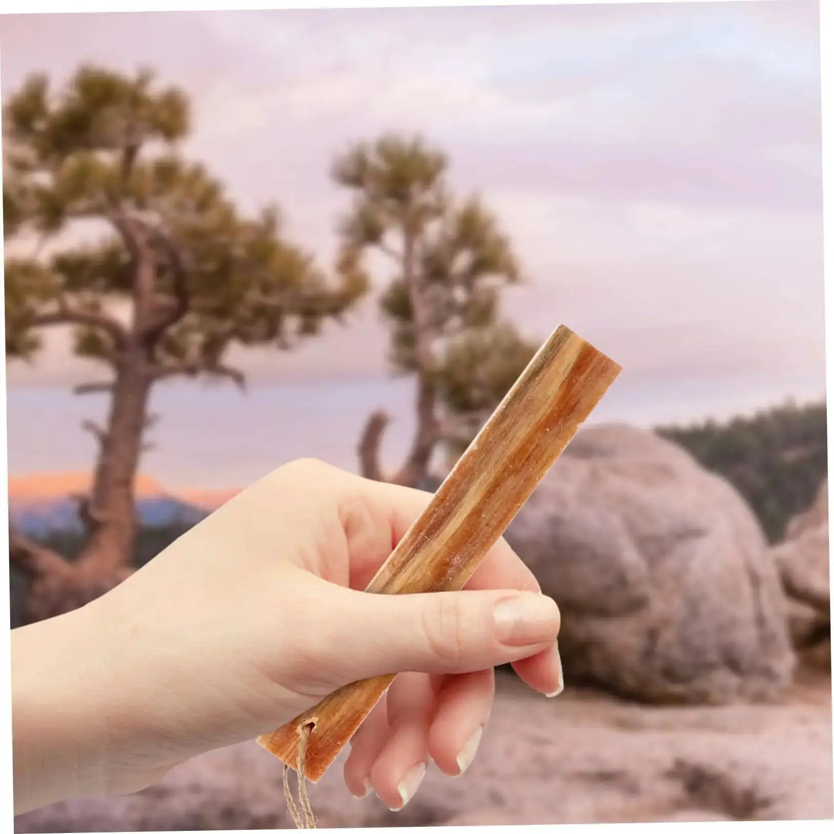 Rafford 2Pcs pine wood ignition matches natural finish for outdoor camping by Simples Market