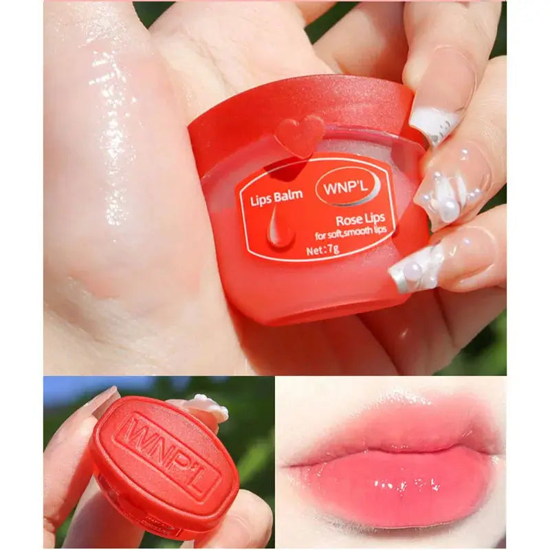 PureLeaf Moisturizing Lip Balm Set of 4 6 8 Pieces Plant Based Hydration to Protect And Nourish Lips