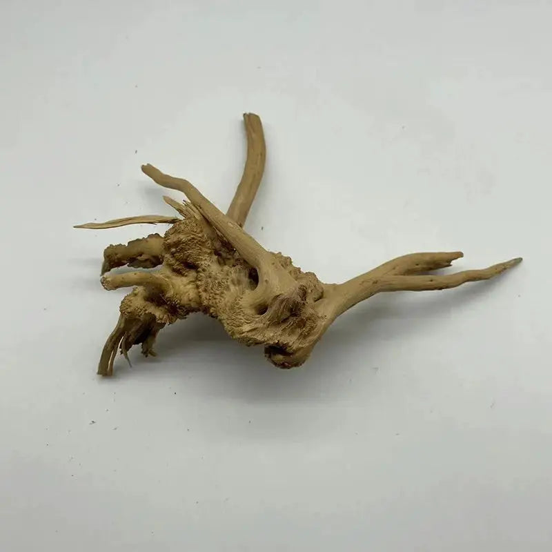 Natural Tree Trunk Driftwood Aquarium Decoration Wood Ornament For Fish Tanks And Aquatic Plants