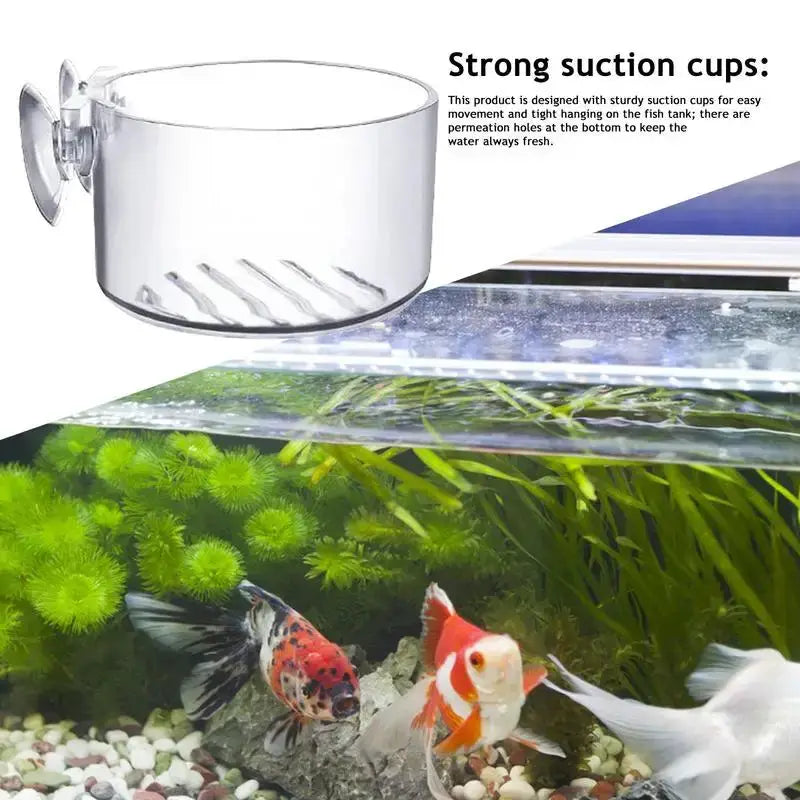 Clear Acrylic Aquatic Plant Cup For Aquarium With Suction Holder Feeding Container Stand Landscape Tank Decor