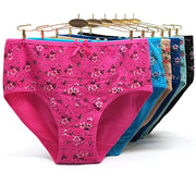 Women’s cotton mid-rise butterfly-print panties, 3-pack in assorted colors