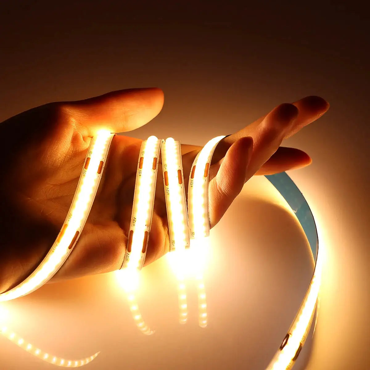 LED strip light, warm white flexible tape, 12V DC, coiled around a hand.