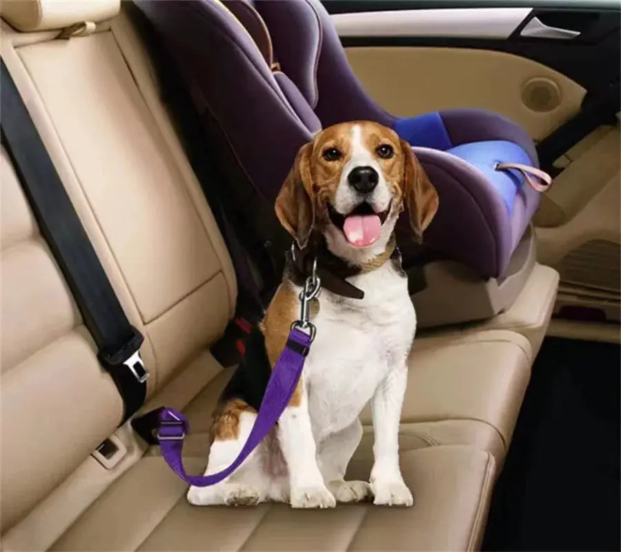 Adjustable Universal Pet Car Seat Belt For Dogs And Cats Nylon Safety Belt Attachment For Vehicles