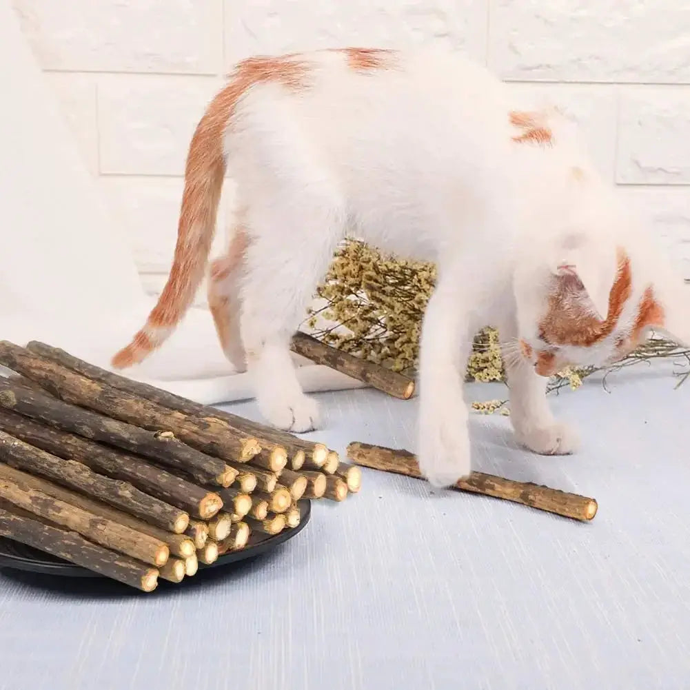 15pc natural matatabi cat chew sticks kit for teeth cleaning and catnip fun by Simples Market