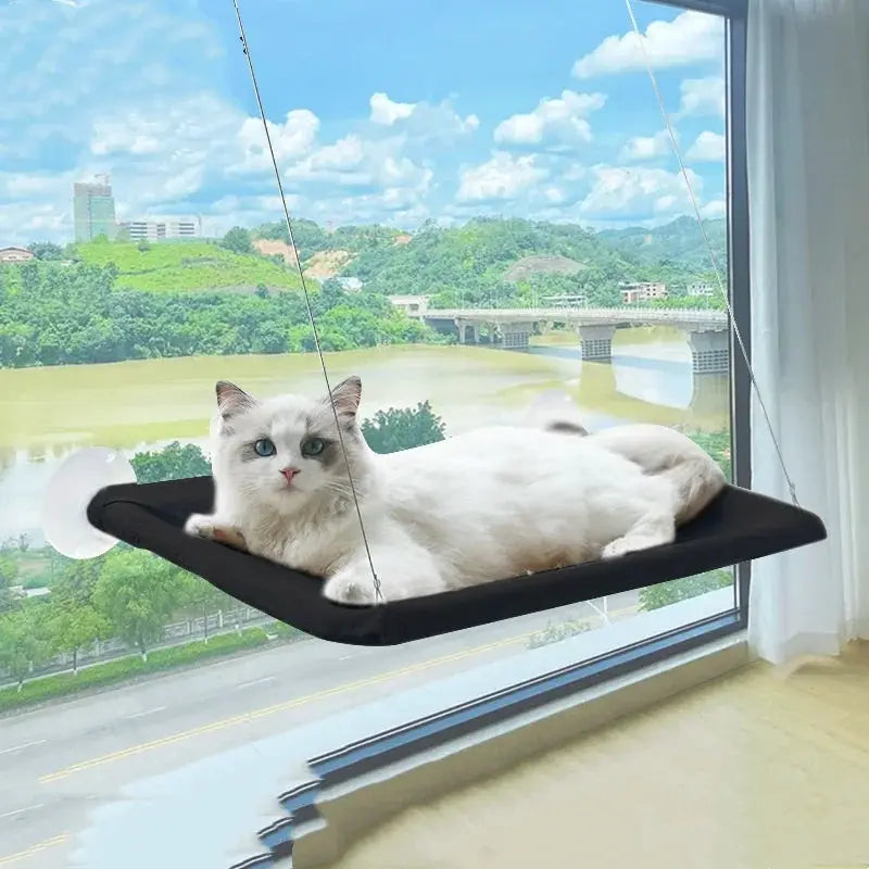 Cat hammock hanging bed, black fabric, sunlit window perch; holds up to 20 kg.