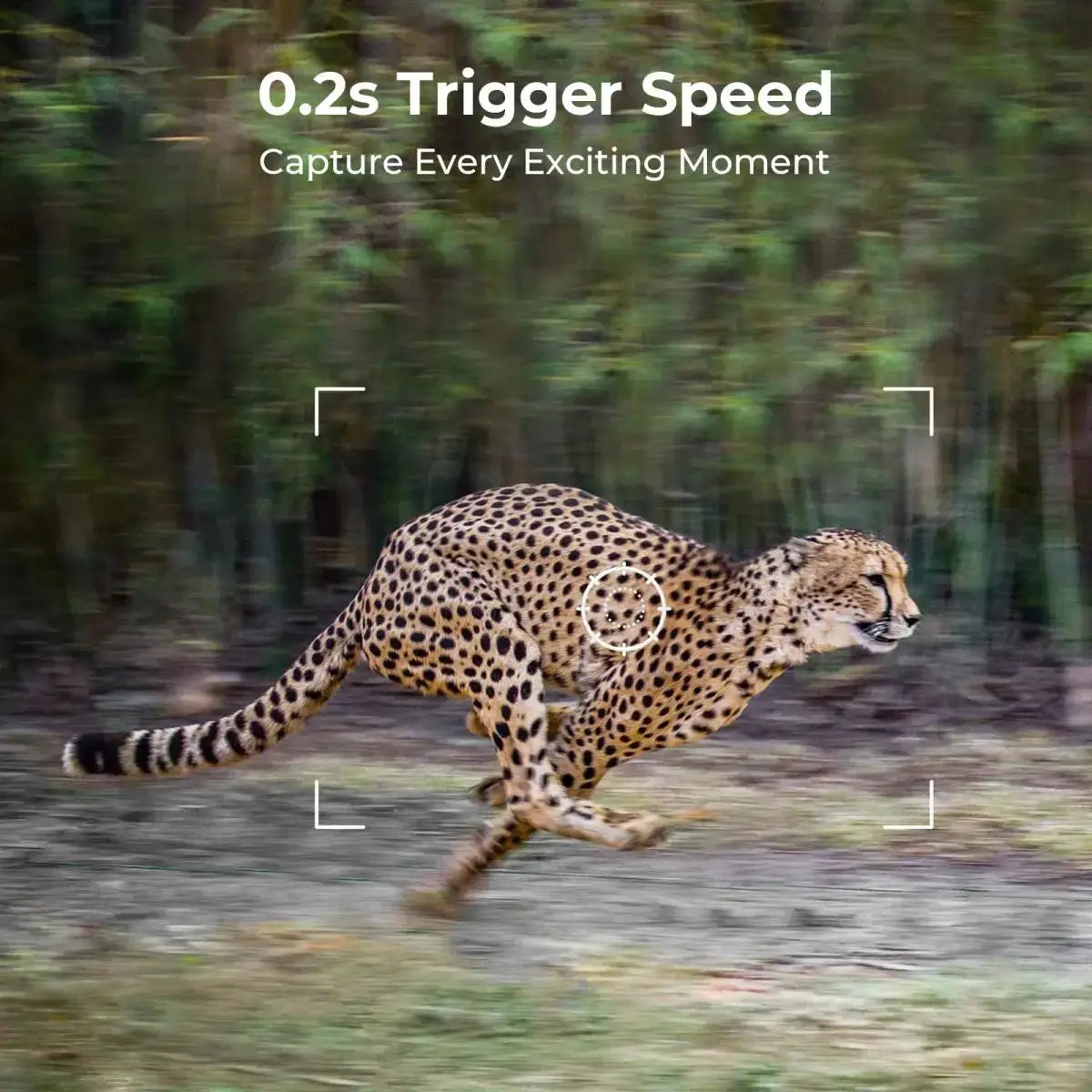 EU 4G Cellular 2K Trail Camera by Simples Market; solar-powered, PIR motion activated, IP65 outdoor night vision