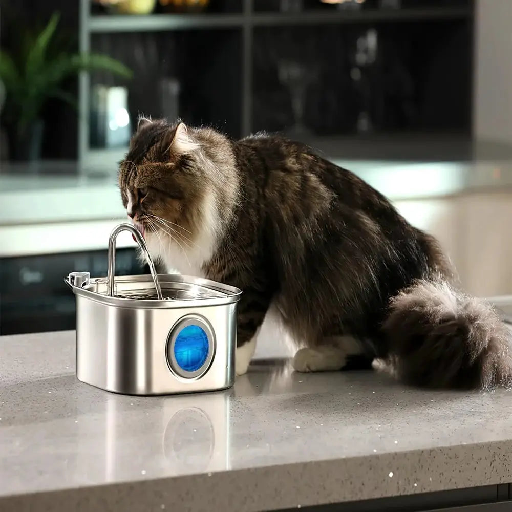 3.2L Stainless Steel Pet Water Feeder Auto Cat Fountain And Smart Dog Water Dispenser With Visual Window