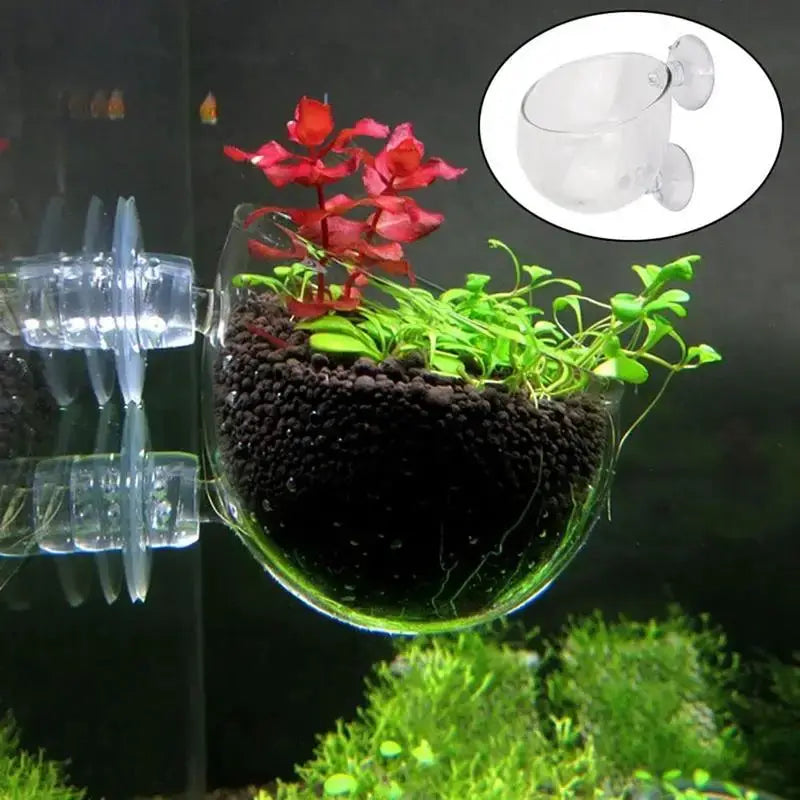 Clear Acrylic Aquatic Plant Cup For Aquarium With Suction Holder Feeding Container Stand Landscape Tank Decor