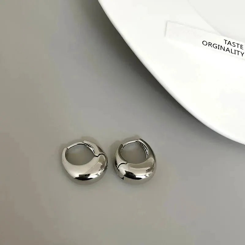 Stainless Steel Chunky Hoop Earrings for Women and Girls Round Circle Punk Jewelry Statement Earrings