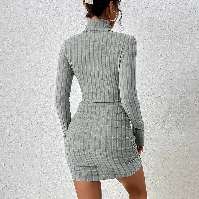 Autumn Winter Women Turtleneck Solid Knitted Bodycon Mini Dress Party