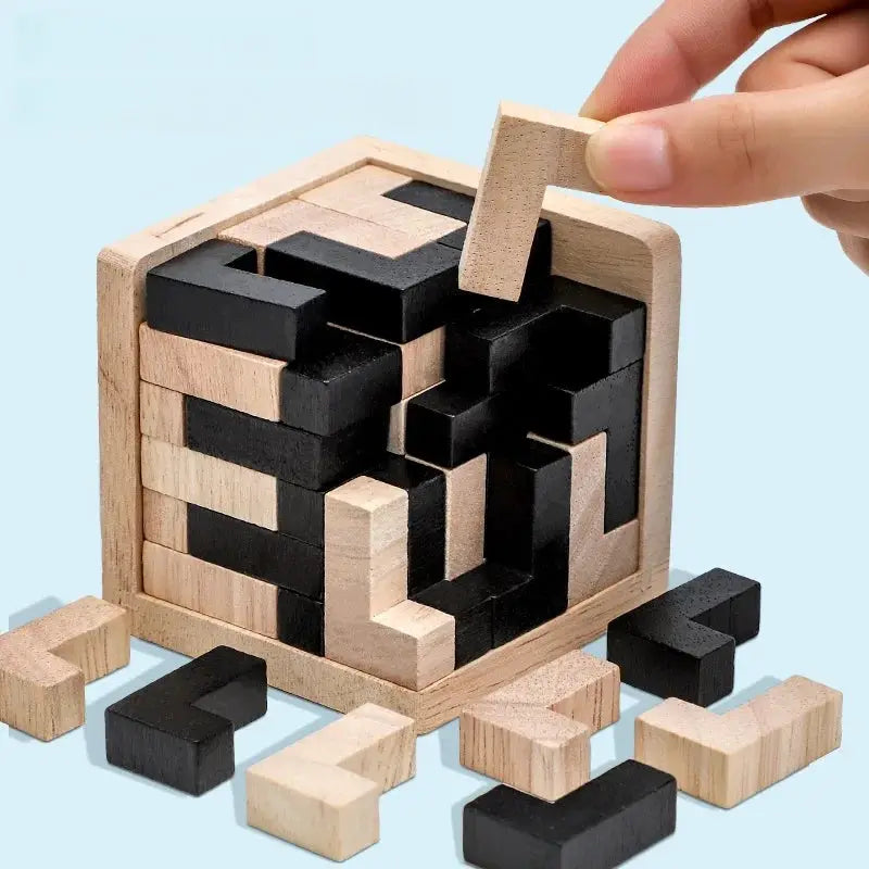 Impossible Wooden Puzzle For Adults Ten Level Eco Friendly Brain Teaser Jigsaw Tangram Board Game