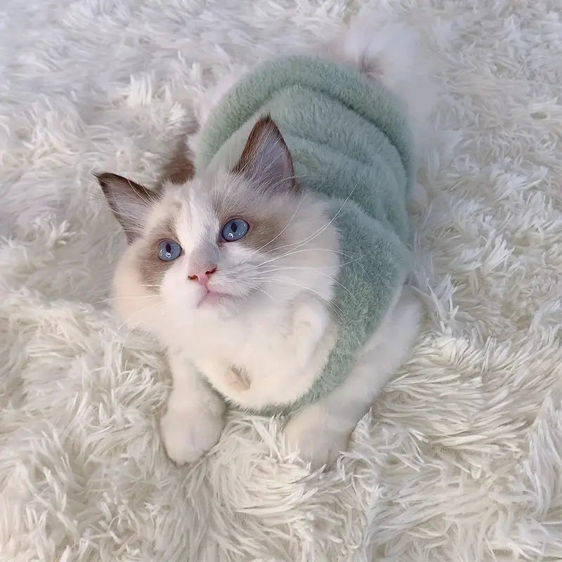 Winter Cat Sweaters and Vests for Kittens and Small Cats Warm Cozy Pet Apparel for Winter
