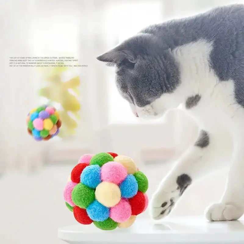 Cat plush ball toys; two colorful woolen pom-pom balls for pets