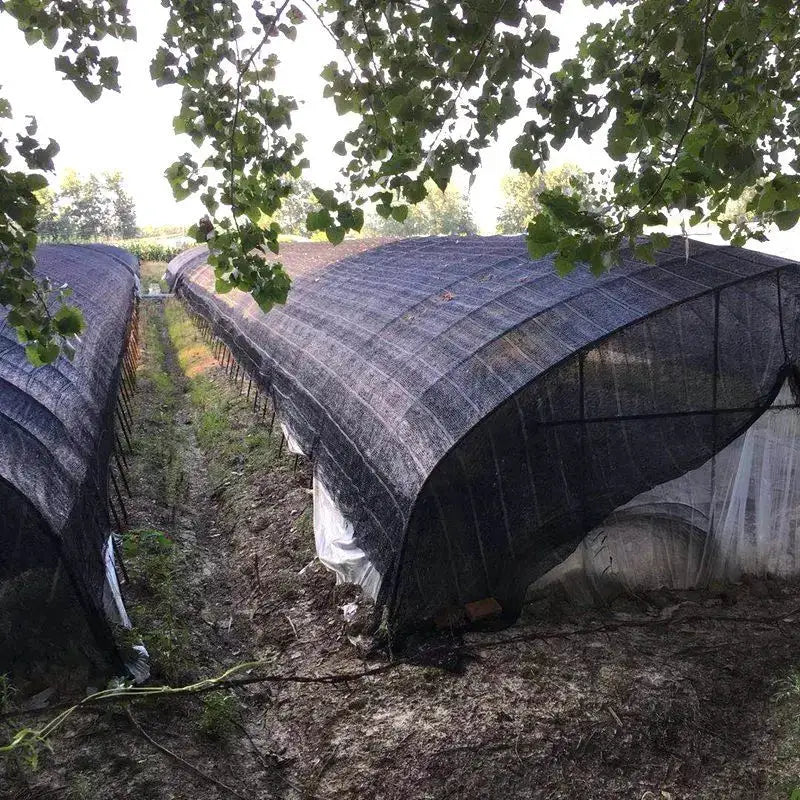 Shade cloth tunnels: two black 6x6m panels with grommets for greenhouse sunshade net