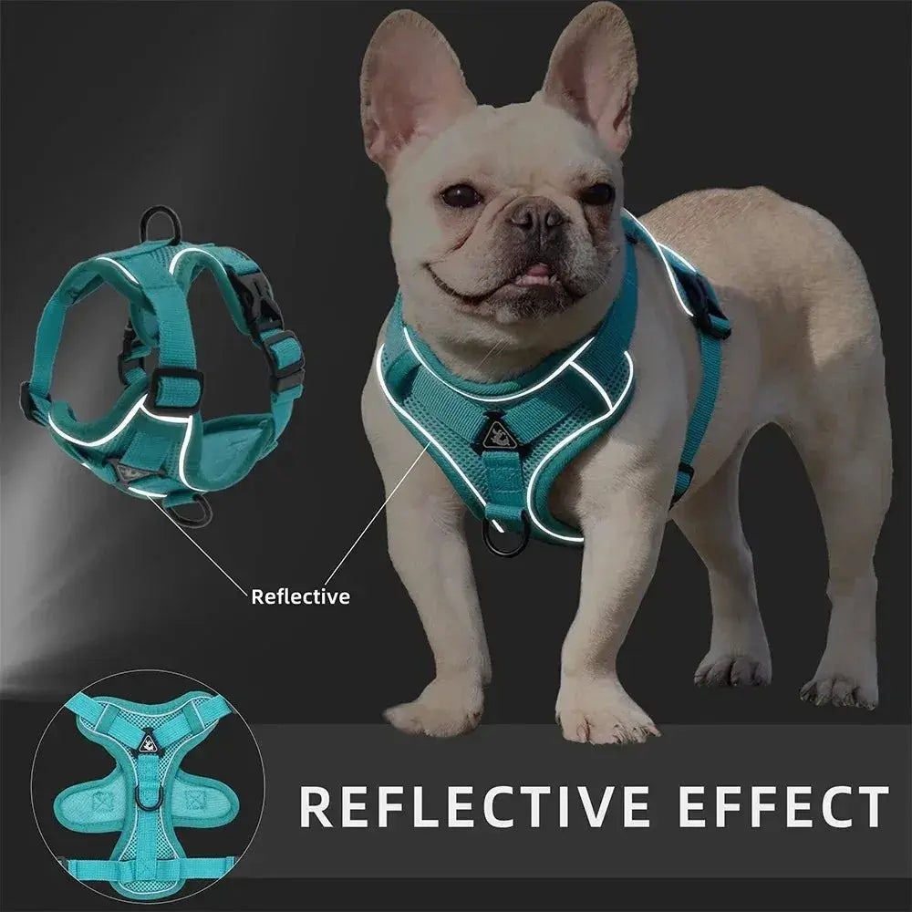 No Pull Dog Harness Leash Set Adjustable Reflective Vest for Small Dogs and Cats Quick Release Buckle