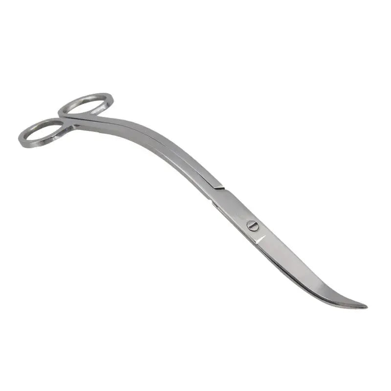 Findixpet Aquarium Scissor Tools Set Stainless Steel Tweezers Plant Wave Scissors Cleaning Accessories Storage Holder