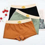 Three-pack 100% cotton women's boxer briefs in black, olive green, and rust brown with beige elastic waistbands