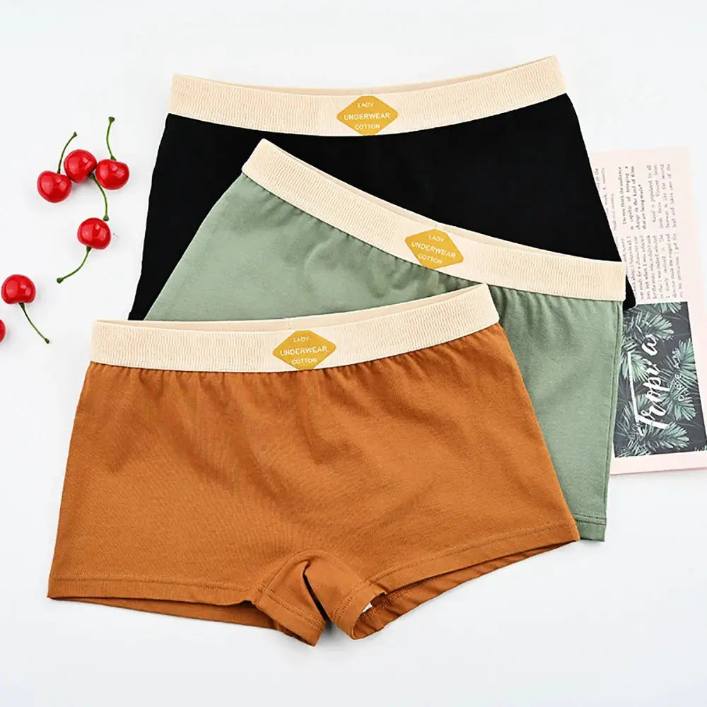 Three-pack 100% cotton women's boxer briefs in black, olive green, and rust brown with beige elastic waistbands