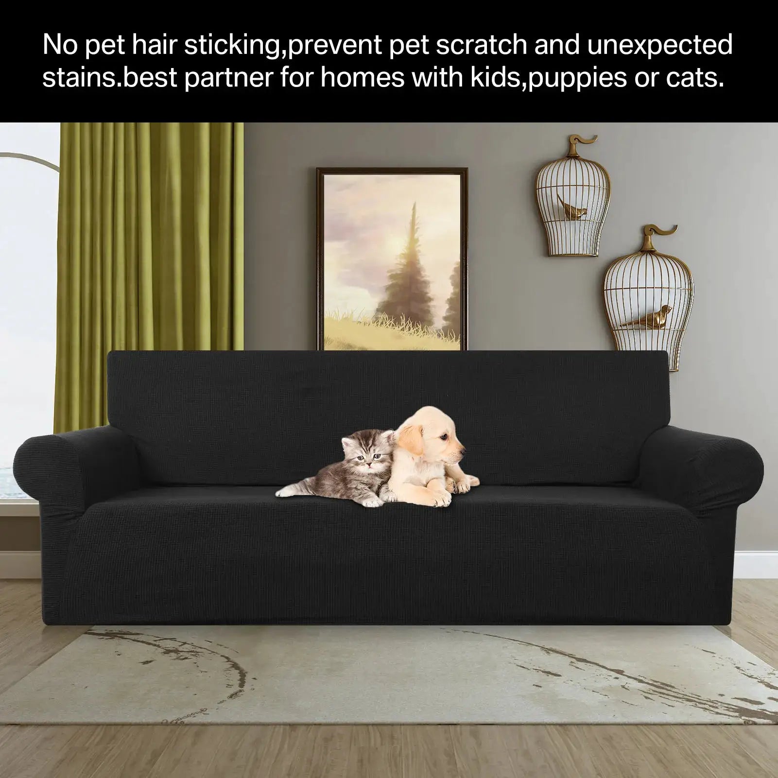 Couch cover on a black sofa with two pets, a kitten and a puppy, resting; living room with green curtains and wall art