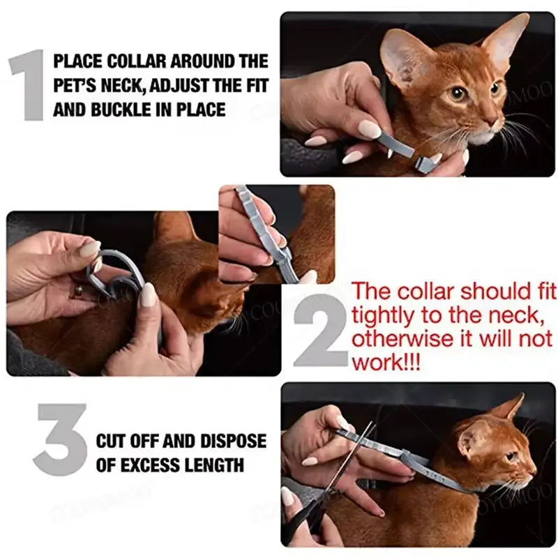 Simples Market calming pheromone collar for cats and dogs, adjustable gray pet collar with step-by-step fitting