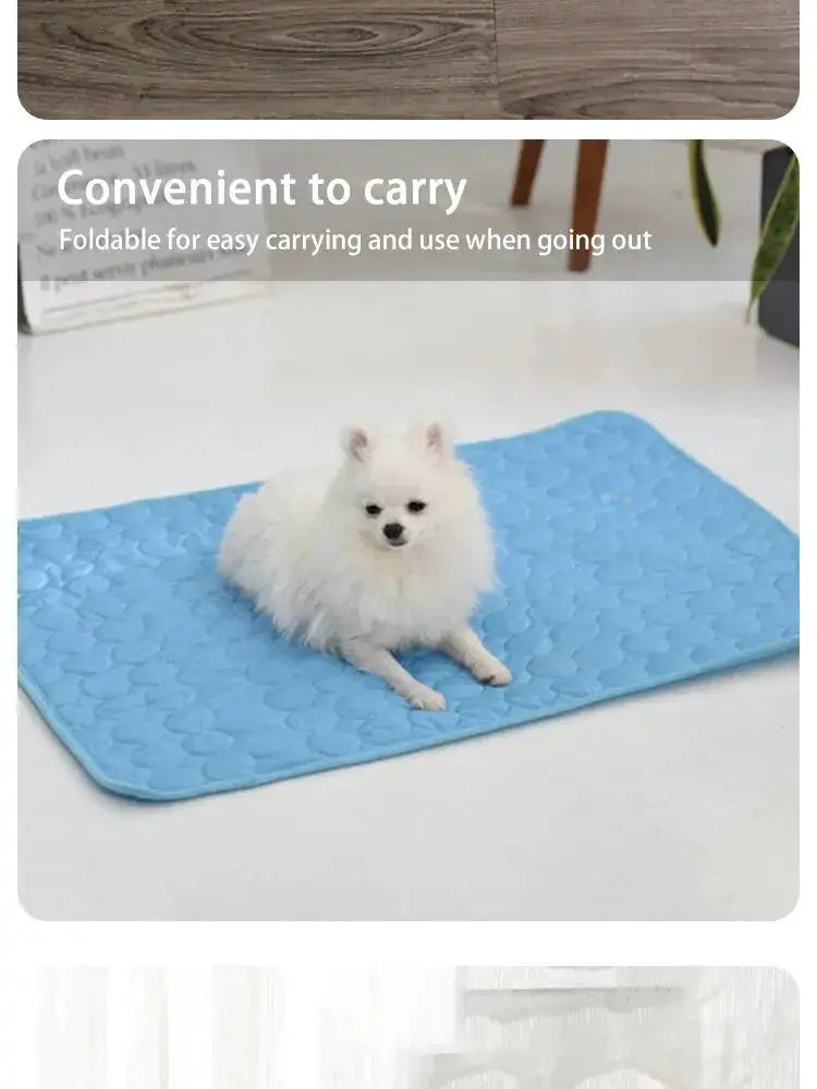 Blue pet cooling mat for small dogs on white floor, shown with a fluffy white dog