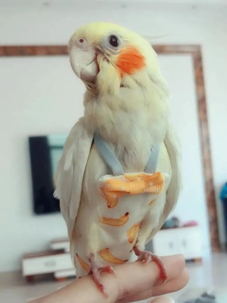 Parrot diaper with bowtie for cockatiel; banana-print fabric, orange bow, and blue straps on a yellow bird.