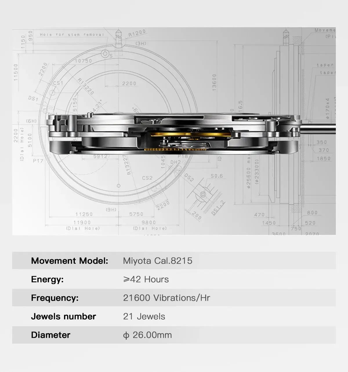 Automatic watch, carbon fiber, 40mm, Miyota Cal.8215 movement
