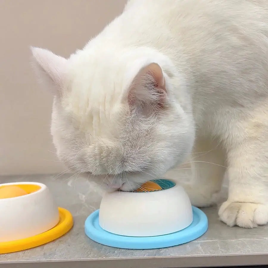 Lick toy slow-feeder for dogs; white plastic with blue base, being used by a white cat.