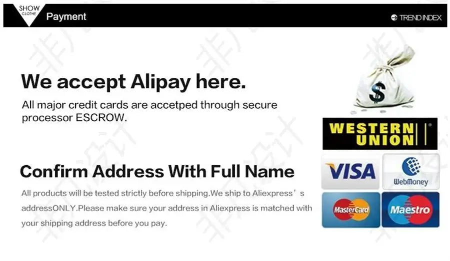 Payment options banner displaying Alipay, Western Union, Visa, WebMoney, MasterCard, and Maestro logos.