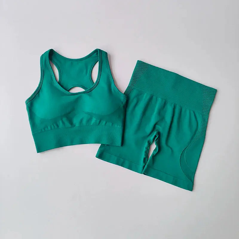 ZenFlex Seamless Yoga Set for Women Breathable Quick Dry Two Piece High Waist Bra and Shorts
