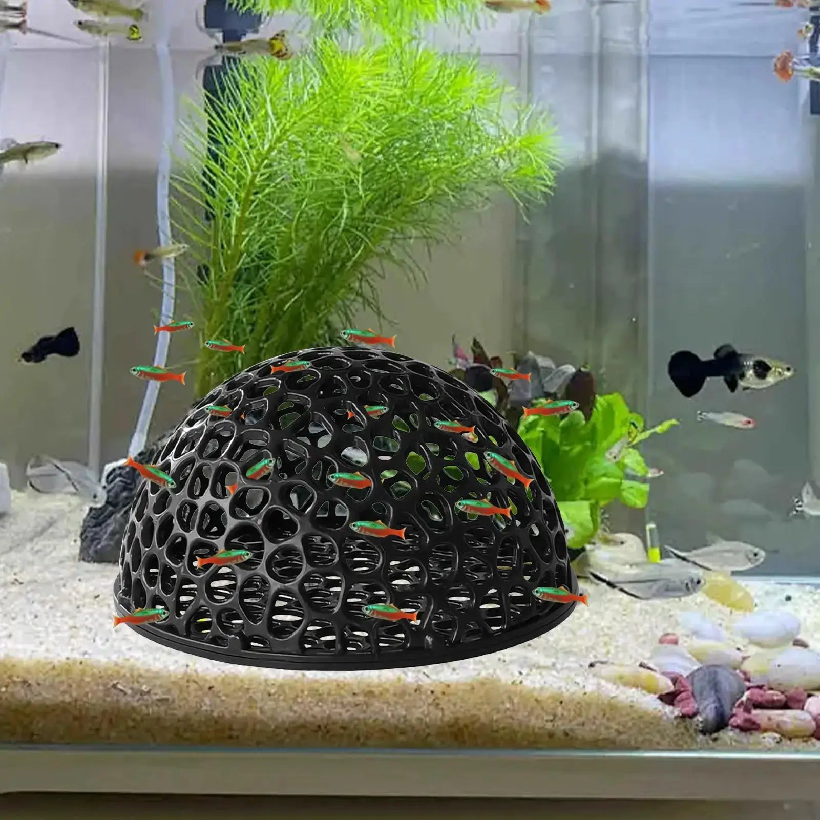 Shrimp Breeding Cave for Fish Tank and Shrimp Hiding Place Betta Habitat Aquarium Decoration