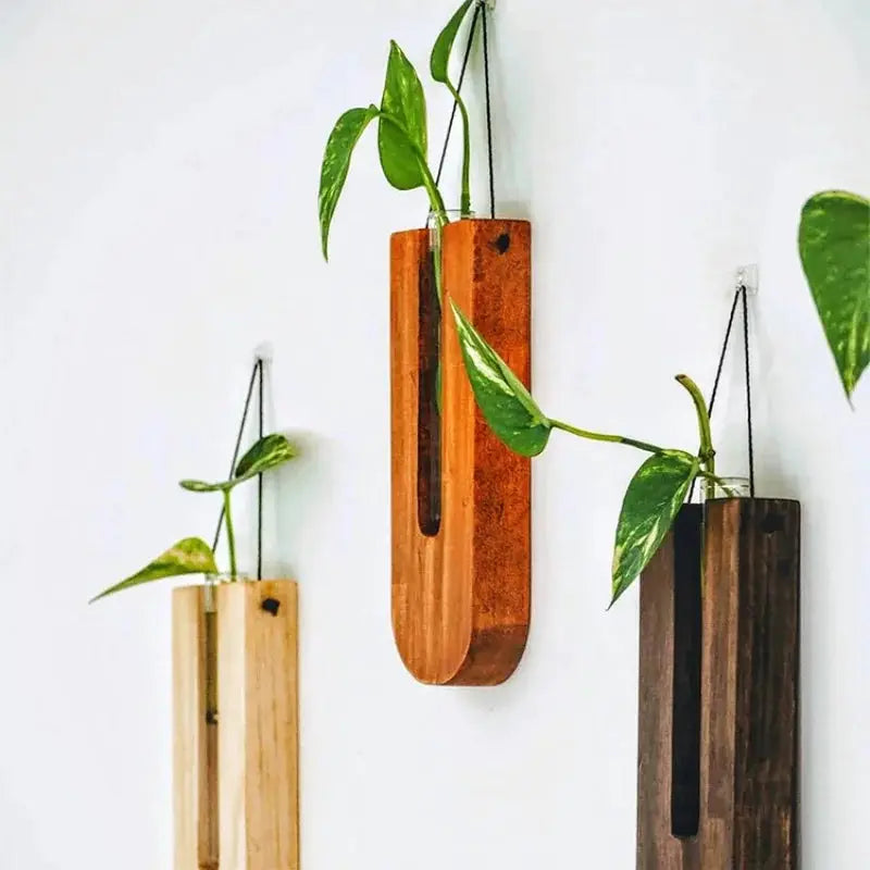 Three wooden Bohemia hanging planters for wall propagation in light, medium, and dark finishes with green vines.
