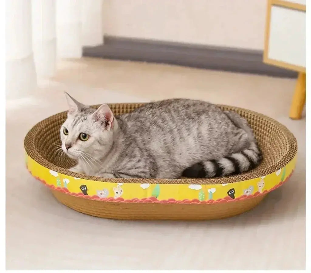 Cat scratching board, oval corrugated cardboard with yellow border; Simples Market, gray tabby cat resting inside.