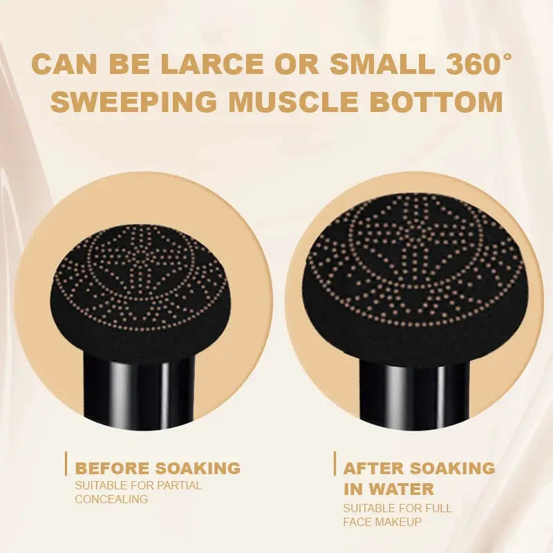 Ocheal BB Cream Air Cushion Compact Medium Coverage Oil Control And Sun Protection