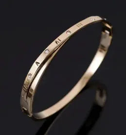 Stainless Steel Zirconia Bracelet For Women Fashion Jewelry Bangles Elegant Accessory