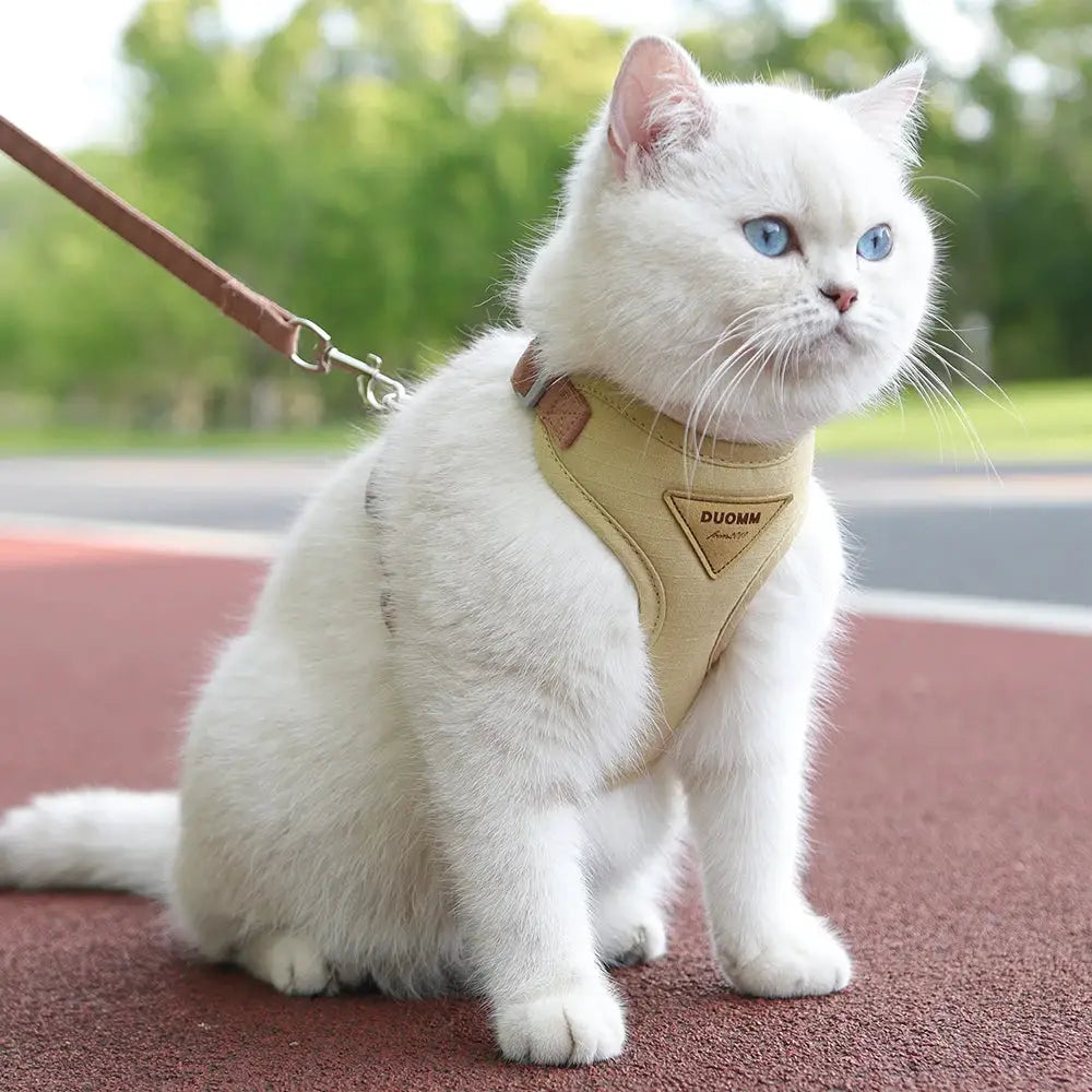 Breathable Pet Harness And Leash Set For Small Dogs And Cats Outdoor Walking Fashion Durable Kitten Harnesses