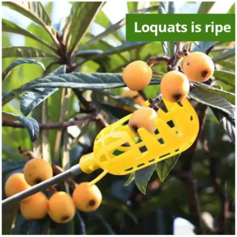 Farm Garden Fruit Picker With Deep Basket Head For Apple And Peach Harvest Convenient Fruit Catcher Tool