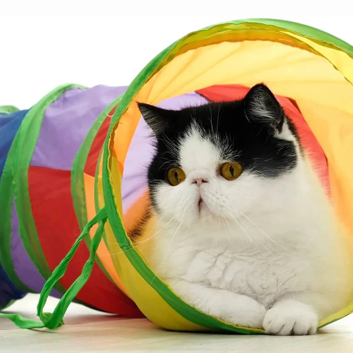 Foldable Cat Tunnel Interactive Toy for Cats Kittens Puppies Rabbits